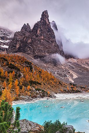 The magic light blue of Sorapis glacial Lake in autumn sorrounded by pine and yellow larches, Cortina d'Ampezzo, dolomites, Italy