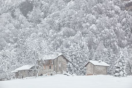 Winter landscape of Sant'Osvaldo pass in the Dolomites Friulane Natural Park, Unesco World Heritage, Italy