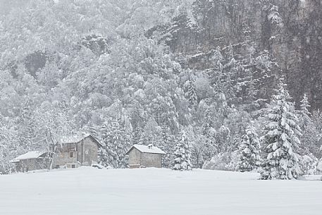 Winter landscape of Sant'Osvaldo pass in the Dolomites Friulane Natural Park, Unesco World Heritage, Italy