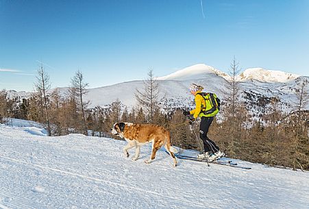 Woman with dog in ski touring, Nockberge mountains, Bad Kleinkirchheim, Carinthia, Austria, Europe