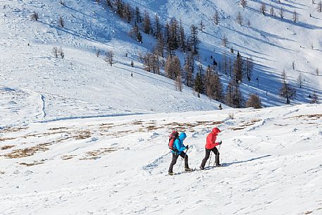 Snowshoe hike in the Nockberge mountains, Bad Kleinkirchheim, Carinthia, Austria, Europe