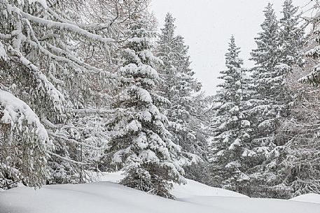 Winter landscape near Maibrunnbahn, Bad Kleinkirchheim, Nockberge mountains, Carinthia, Austria, Europe