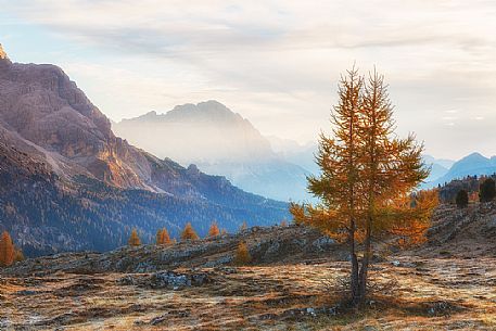 Falzarego Pass in autumn sunrise, dolomites, Cortina d'Ampezzo, Veneto, Italy, Europe