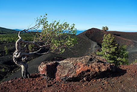 Windy landscape of Monti Sartorius mount in the Etna natural park, Sicily, Italy 