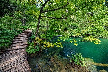 Wooden path in the Plitvice Lakes National Park, Dalmatia, Croatia, Europe