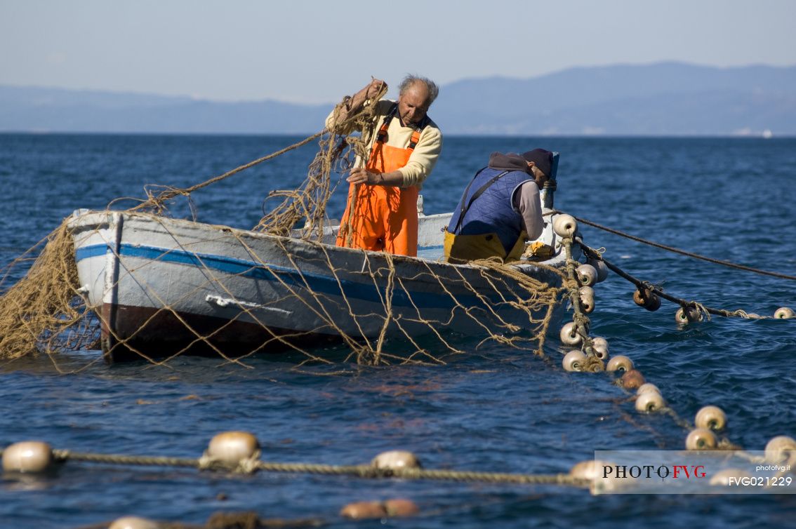 Catch the nets of the Tonnara in the sea in front of Porto Pidocchio in the promontory of Portofino area, Genova, Liguria, Italy