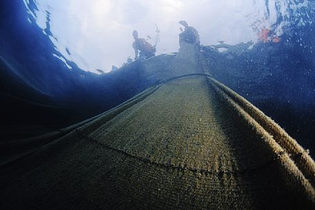 View of the death room in the tonnara when the net it pick up by the catch. It's the fish view, Camogli, Liguria, Italy