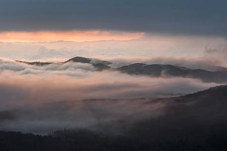 Sea of fog  on Cansiglio 