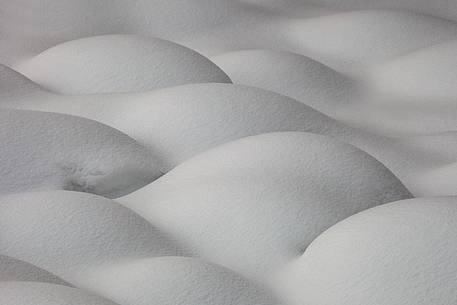 sensual shapes on snow