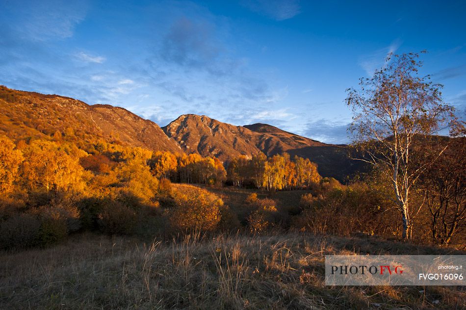 Dawn inflames the autumn colors of the Eastern Prealps Carnic, Friuli Venezia Giulia, Italy, Europe