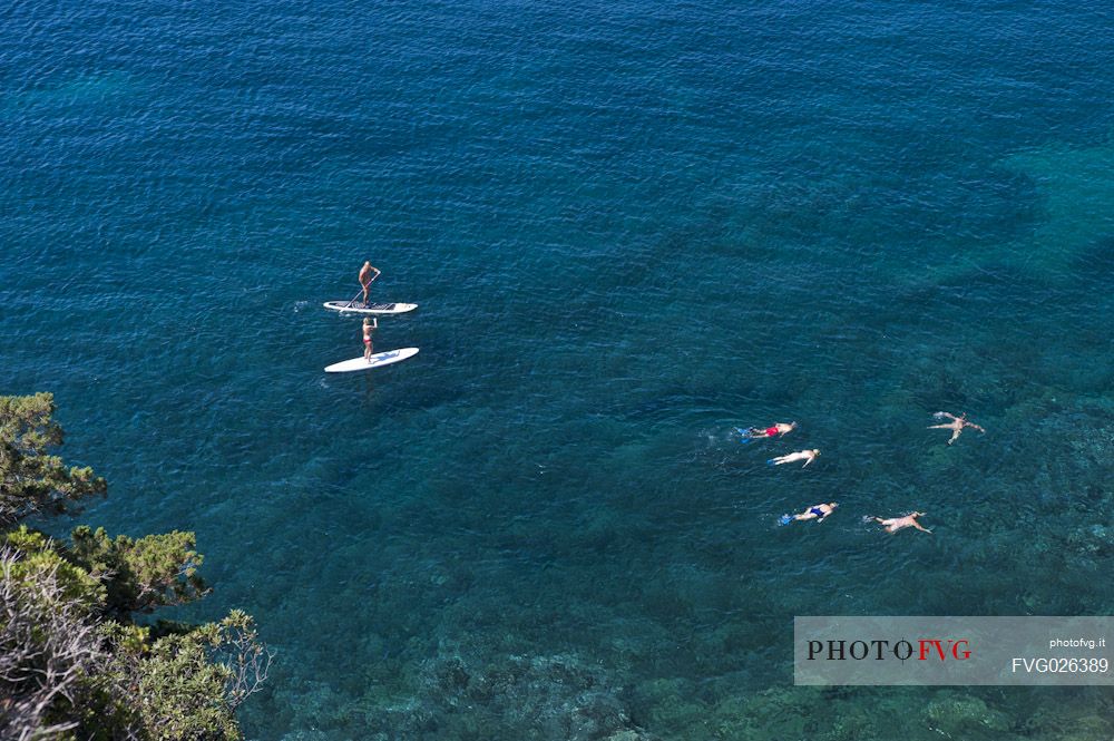 Snorkeling and paddle board in the clear waters of the Viticcio gul, Elba island, Tuscany, Italy