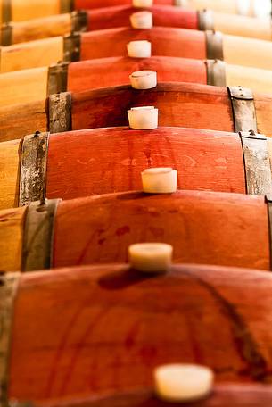 Barrels of wine in the winery I Magredi in north east Italy, Domanins, Friuli Venezia Giulia, Italy, Europe