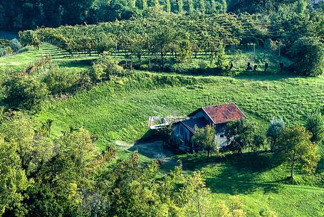 Rural landscape in Caneva village, Friuli Venezia Giulia, Italy, Europe Rural landscape in Caneva village, Friuli Venezia Giulia, Italy, Europe