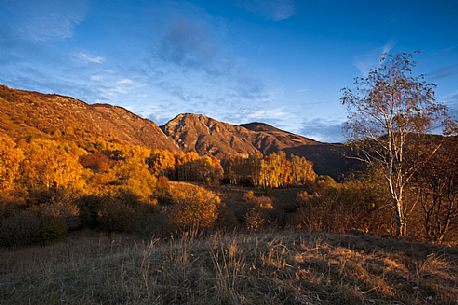 Dawn inflames the autumn colors of the Eastern Prealps Carnic, Friuli Venezia Giulia, Italy, Europe