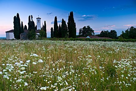 The Santa Giuliana church surrounded by a field of flowers at sunset, Castello d'Aviano, Friuli Venezia Giulia, Italy, Europe