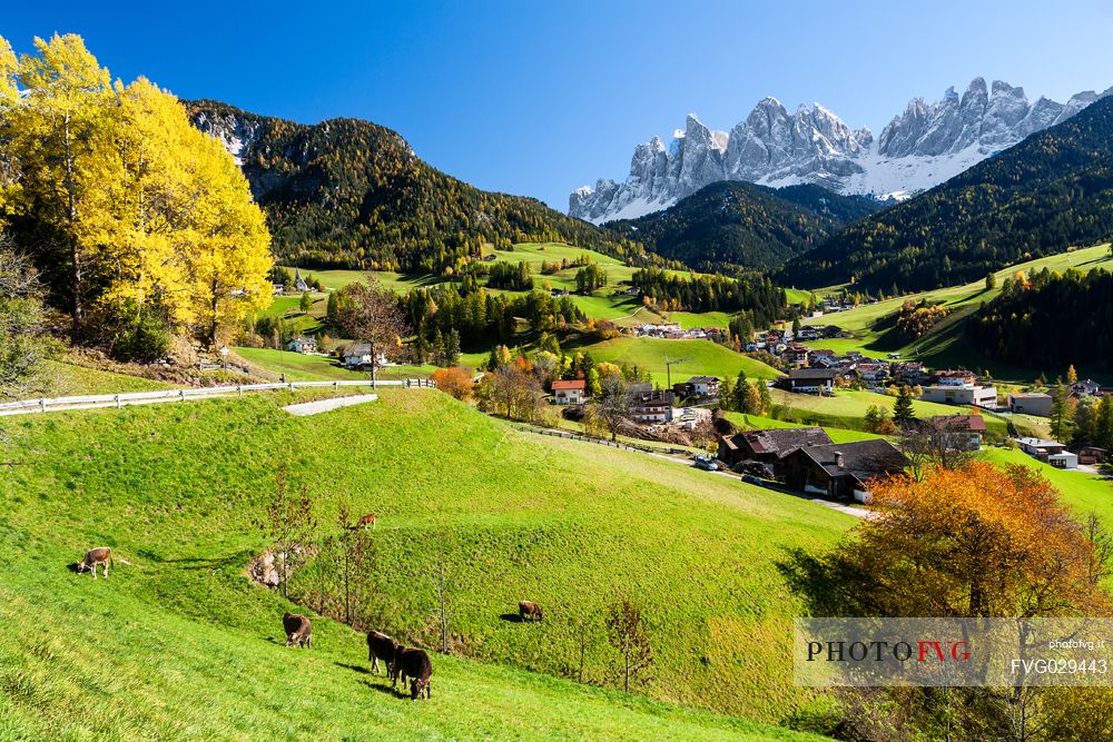 Santa Maddalena village and Odle mountain group, Funes valley, Italy