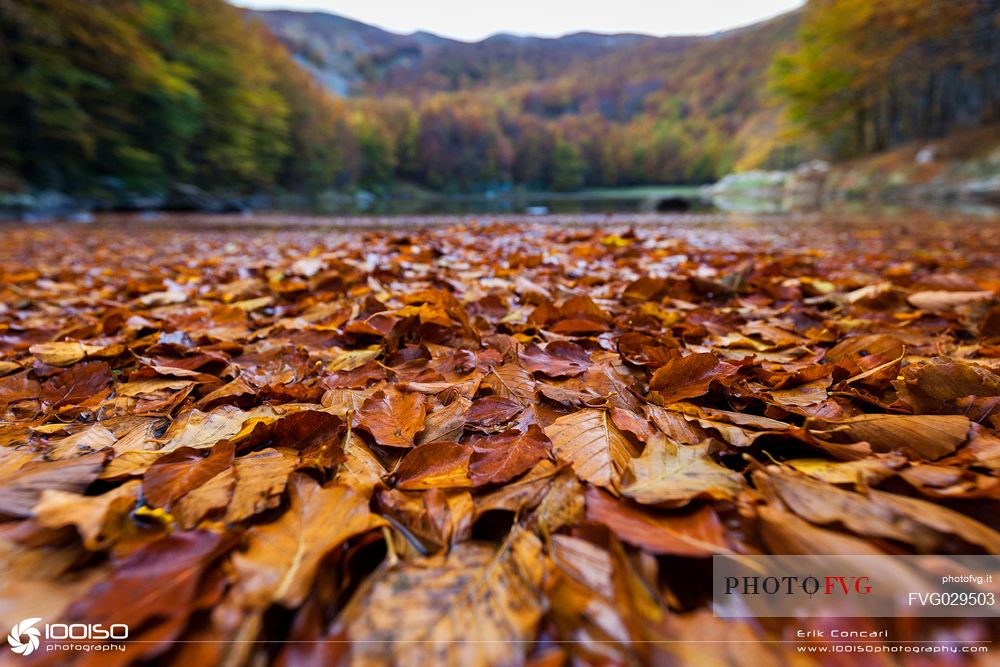 Foliage at the Monte Acuto lake, national park of Appennino Tosco Emiliano, Italy