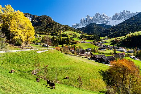 Santa Maddalena village and Odle mountain group, Funes valley, Italy