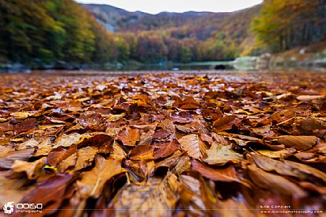 Foliage at the Monte Acuto lake, national park of Appennino Tosco Emiliano, Italy