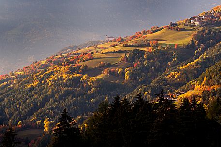 Autumnal landscape in the Gardena valley, dolomites, South Tyrol, Italy