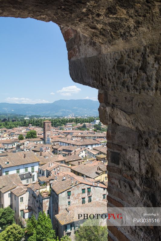 The city of Lucca seen from Guinigi tower, Tuscany, Italy