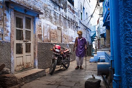 Squirrel looking an indian old man walks in the street of Jodhpur, the blue city, Rajasthan, India