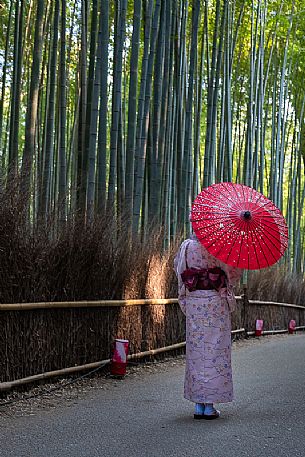 Woman wearing a traditional kimono and umbrella in Arashiyama bamboo forest, Kyoto, Japan