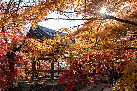 The bell of Jojakkoji Temple in Kyoto, Arashiyama district, Kyoto, Japan