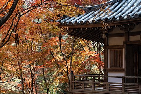 Detail of Otagi Nenbuts ji buddhist temple in Arashiyama, Kyoto, Japan