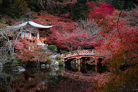 Scenic pond and red bridge at Daigo-ji temple in Kyoto surrounded by autumn colors, Japan