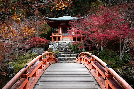 The red bridge at Daigo-ji temple in Kyoto surrounded by autumn colors, Japan