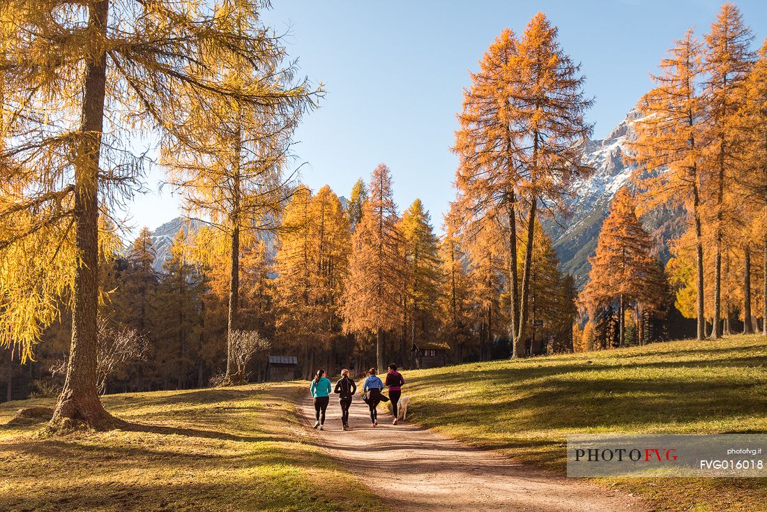 Jogging in the Fiscalina valley in Pustertal