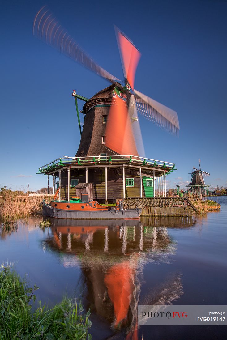 The wind moves the blades of the mill on the banks of the river Zaan in the little village of Zaanse Schans