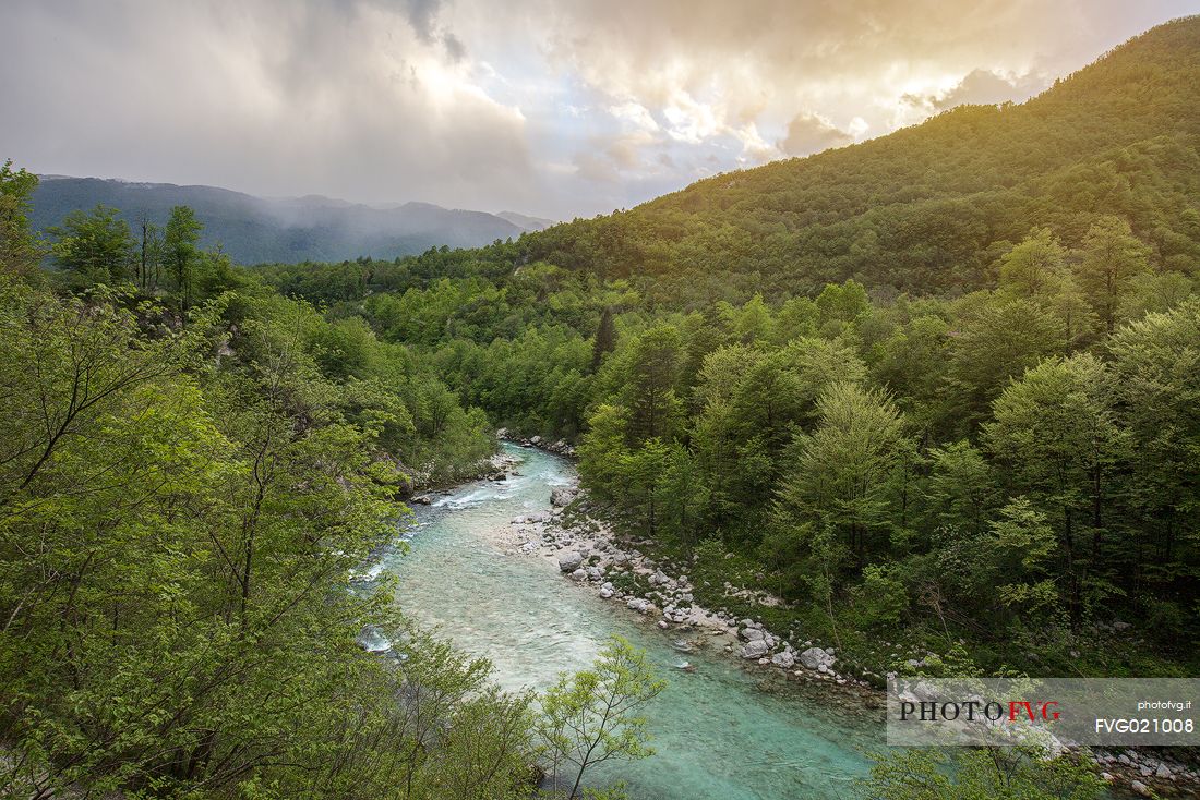 The emerald green color of the Soca or Isonzo river in Slovenia, Europe