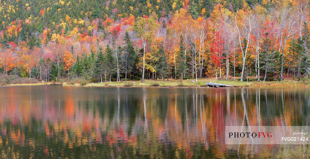 Autumn reflections in the White Mountains National Forest in New Hampshire, United States of America