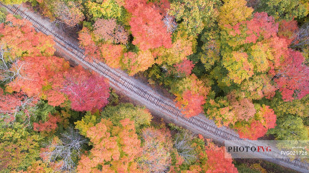 Autumn along the tracks that cross the  Franconia Notch State Park, New Hampshire, United States of America