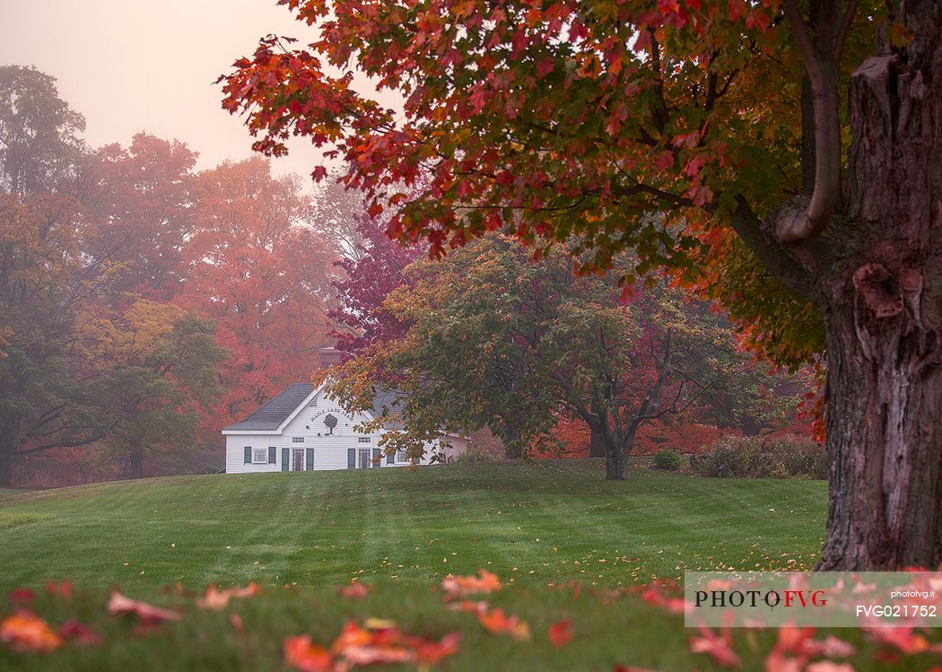 Foliage in the countryside of Woodstock, Vermont, USA