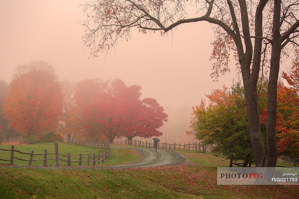 An autumn foggy morning  in the countryside of Woodstock, Vermont, USA