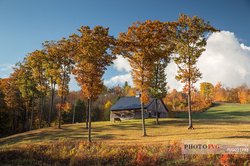 A little farm in the Vermont countryside, New England, USA