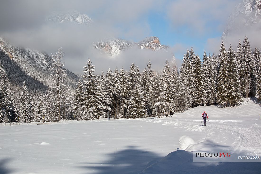 Cross country skiing in the Landro valley, in the Dobbiaco Cortina trail, Dolomites, Italy