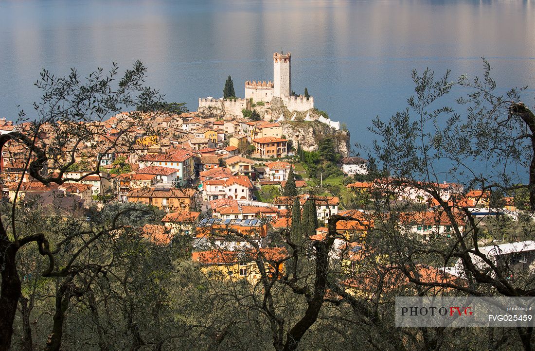 View from the top of the small medieval village of Malcesine with its dense olive groves and the Scaligero castle overlooking Garda lake, Italy