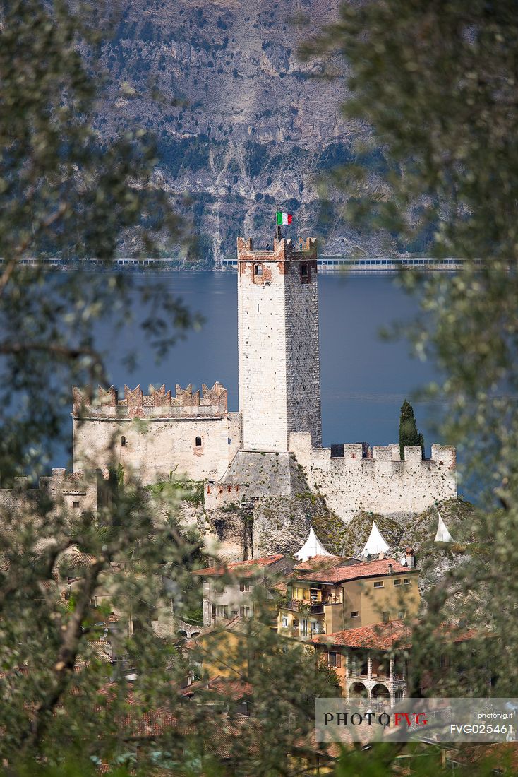 The Scaligero castle of Malcesine on Garda lake framed by olive groves, Italy