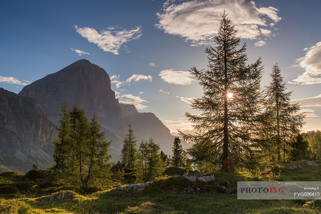 The morning sun illuminates the meadows at Passo Falzarego, in the background the Tofana di Rozes, Cortina D'Ampezzo, Dolomites, Italy