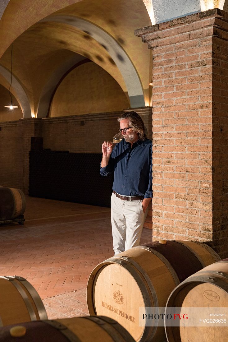 Roberto Felluga, owner of the wine-growing company Russiz Superiore, taste a glass of Ribolla gialla, Capriva del Friuli, Friuli Venezia Giulia, italy