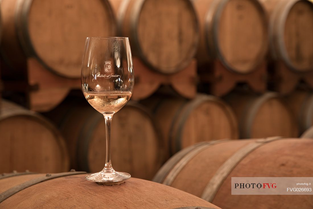 Glass of Ribolla gialla of the historic aging cellar of Castello di Spessa in Capriva del Friuli, Friuli Venezia Giulia, Italy