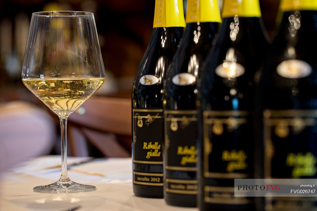 Glass and bottle of Ribolla Gialla of the wine-growing company Eugenio Collavini in Corno di Rosazzo, Friuli Venezia Giulia, Italy