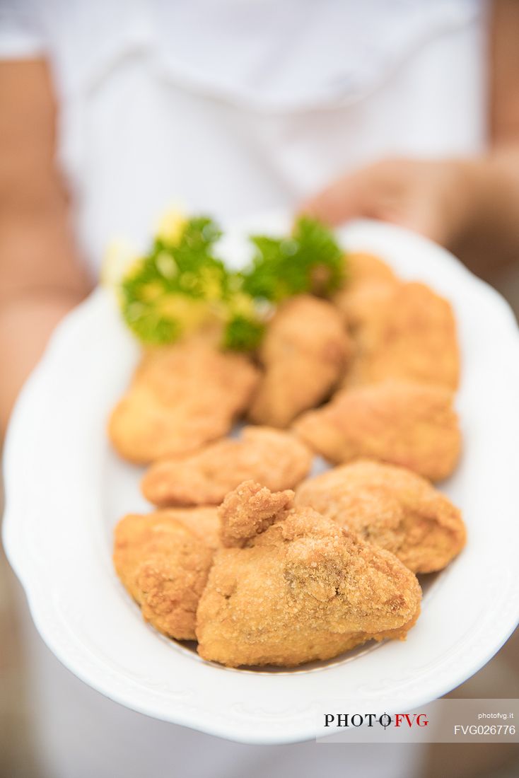 Fried chicken, a typical dish of the Osteria Sardoc in Trieste, Friuli Venezia Giulia, Italy