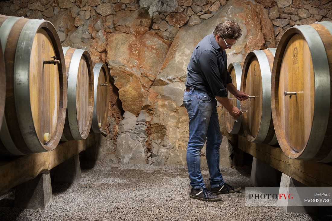 Wine cellar excavated in the Carso rock of the farmhouse Bajta Fattoria Carsica of Trieste with the owner Nevo Skerjl , Friuli Venezia Giulia, Italy