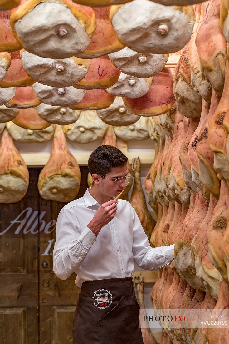 Marco Alberti checking the ham, La Casa del Prosciutto , the historic ham company of the Alberti family in San Daniele del Friuli, Friuli Venezia Giulia, Italy
