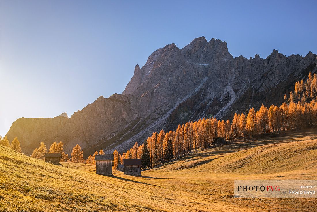 Barns in the field of Croda Rossa during an autumn morning, Sesto, Pusteria Valley, Trentino Alto Adige, Italy